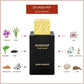 Shaghaf Oud Aswad | Eau de Parfum 75ml | Unisex Fragrance by Swiss Arabian